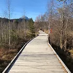 Lakeside Seefeld