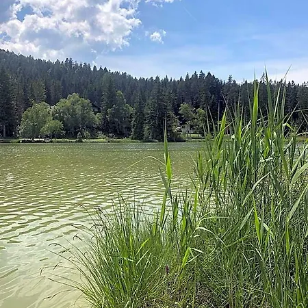 公寓式酒店 Lakeside Seefeld 蒂罗尔-泽费尔德