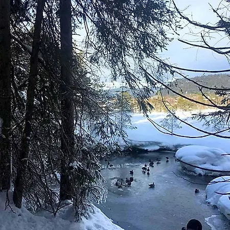 Lakeside Seefeld Apart Otel Seefeld in Tirol