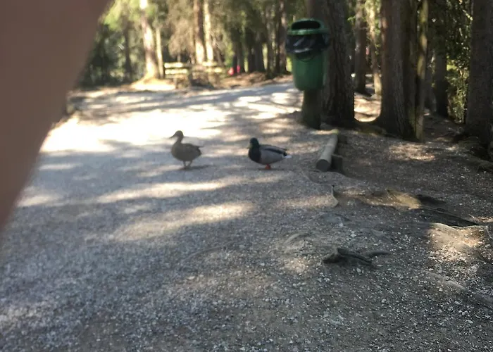 Lakeside Seefeld 4* Seefeld in Tirol