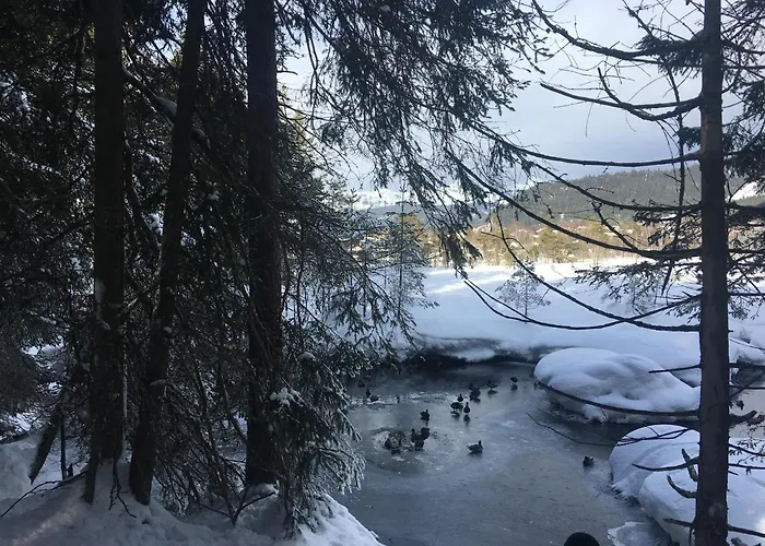 Апарт-отель Lakeside Seefeld 4*