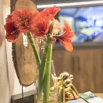 Lakeside Seefeld Apart-hotel