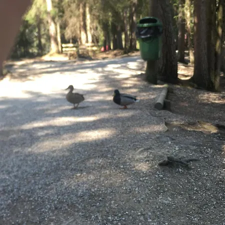 Lakeside Seefeld 4* Seefeld in Tirol