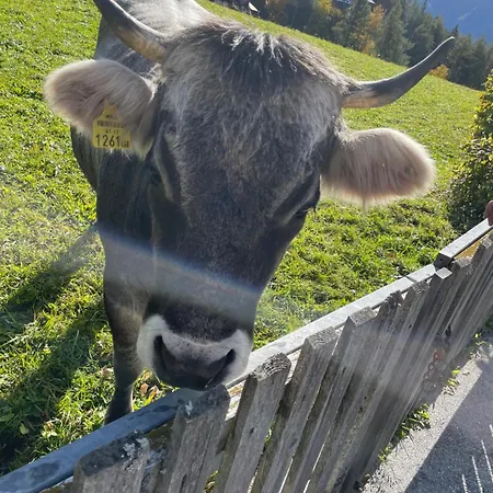 Lakeside Seefeld Apartahotel Seefeld in Tirol