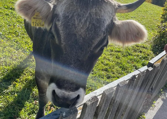 Lakeside Seefeld Hotel apartamentowy Seefeld w Tirolu